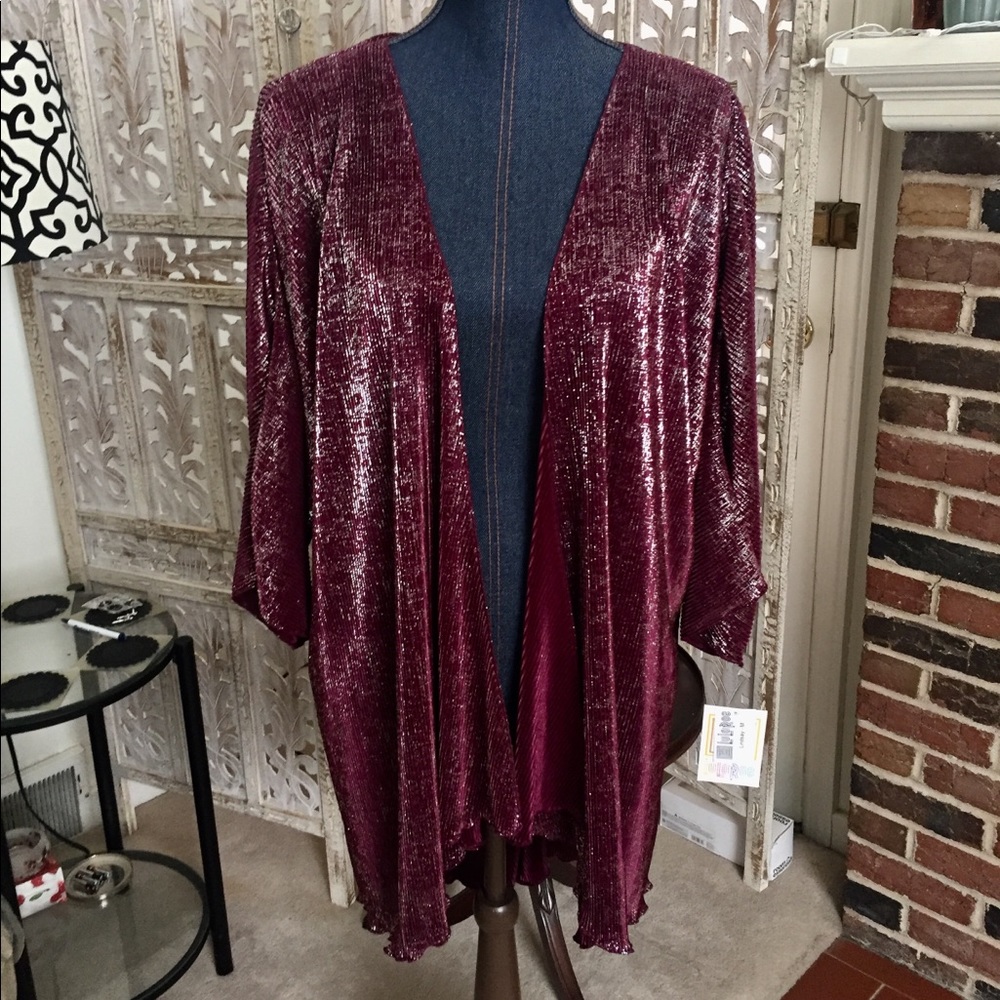 Pretty Pleated Maroon & Silver Elegant Lindsay